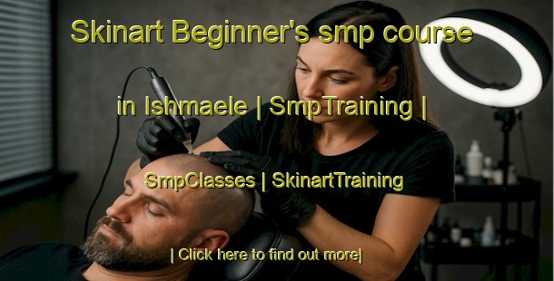 Skinart Beginner's smp course in Ishmaele | SmpTraining | SmpClasses | SkinartTraining-Zambia